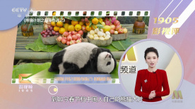 99久久国内精品成人免费